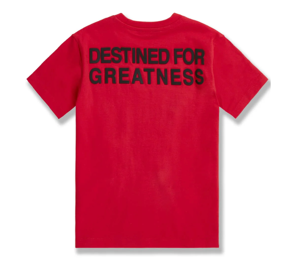 Kids Destined For Greatness Tees - Multiple Colors