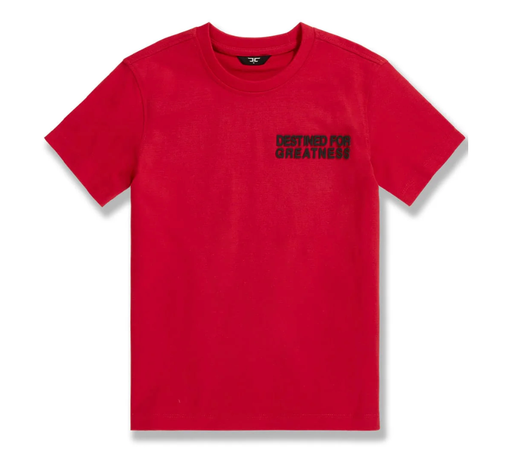 Kids Destined For Greatness Tees - Multiple Colors