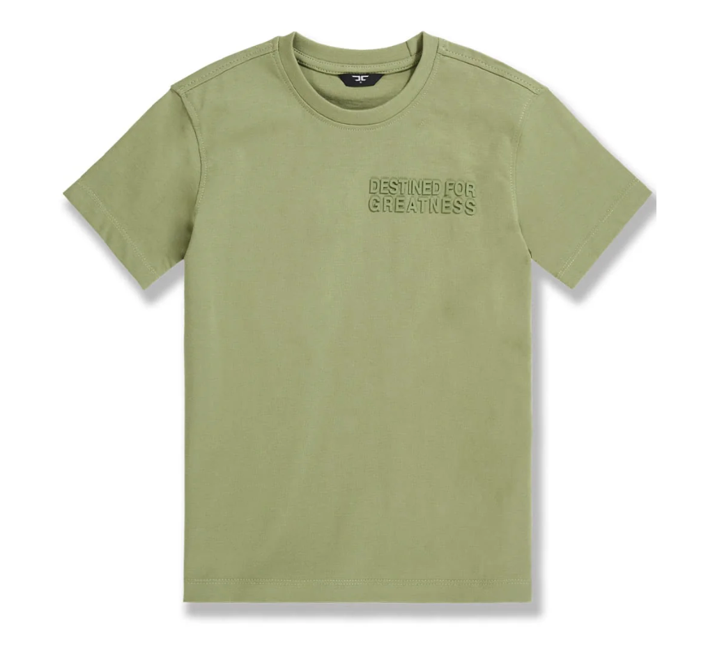 Kids Destined For Greatness Tees - Multiple Colors