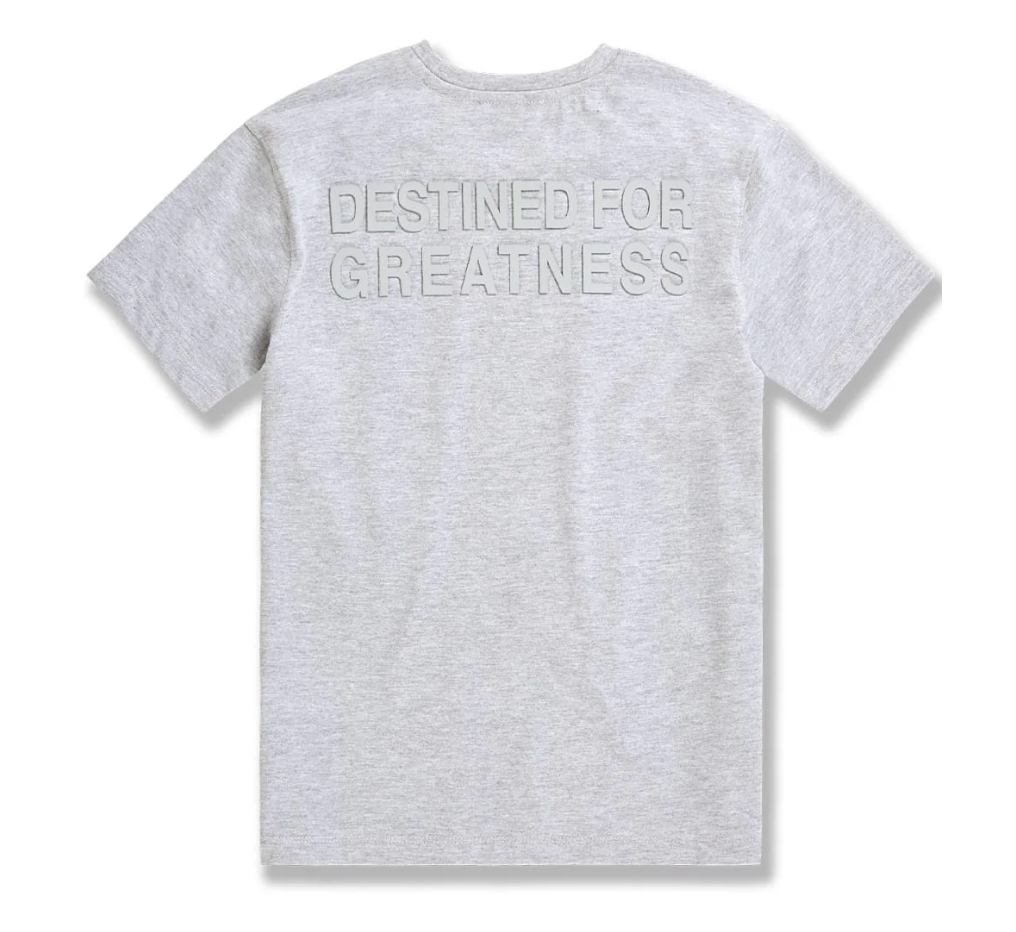 Kids Destined For Greatness Tees - Multiple Colors